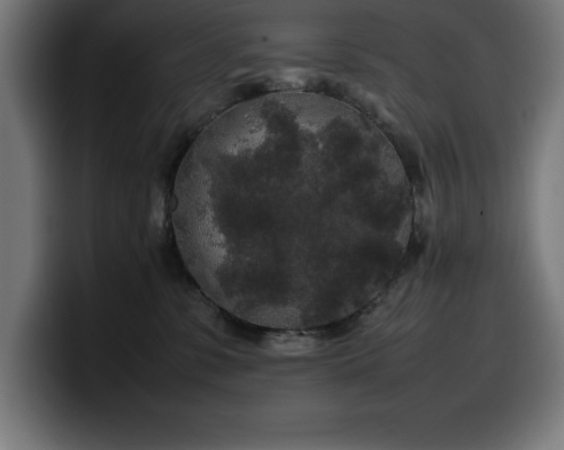 X0000100490331200806131255