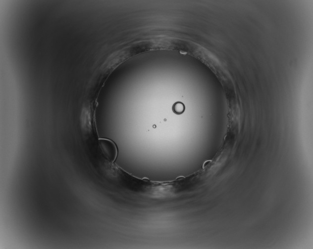 X0000100490333200806131255
