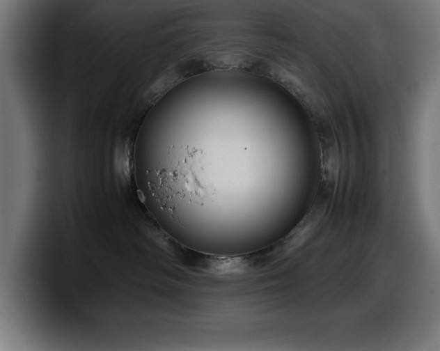 X0000100490334200806131255