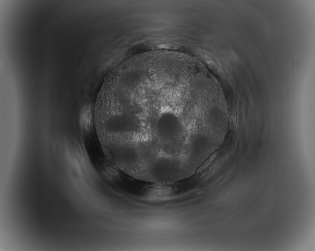 X0000100490335200806131255