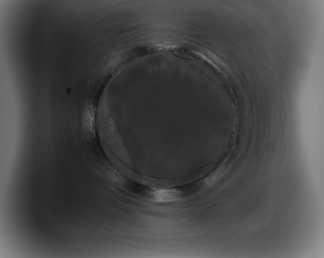 X0000100490336200806131255