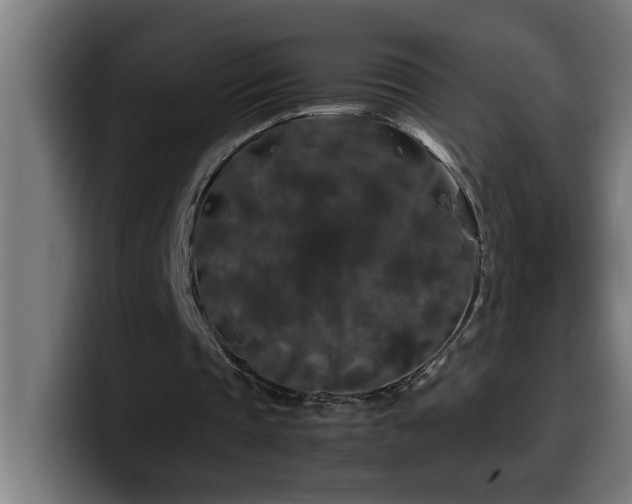 X0000100490337200806131254