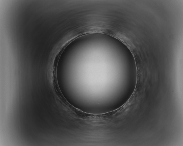 X0000100490338200806131254