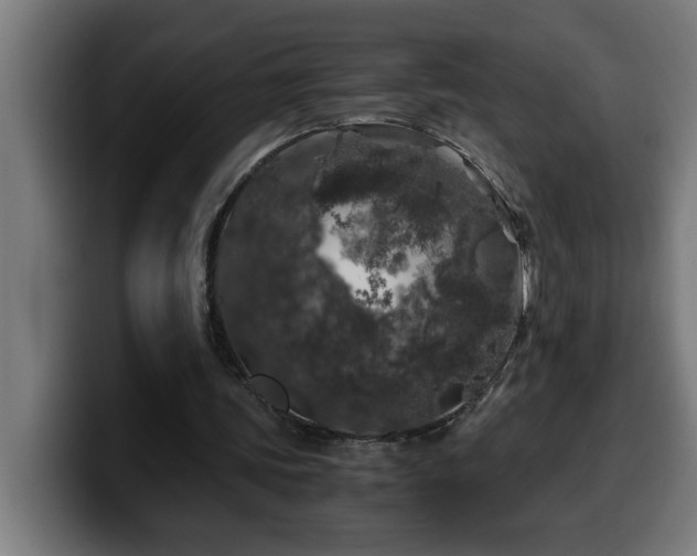 X0000100490339200806131254