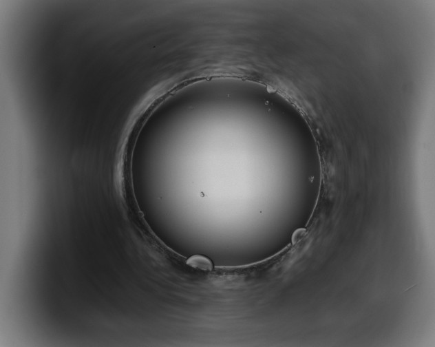 X0000100490340200806131254