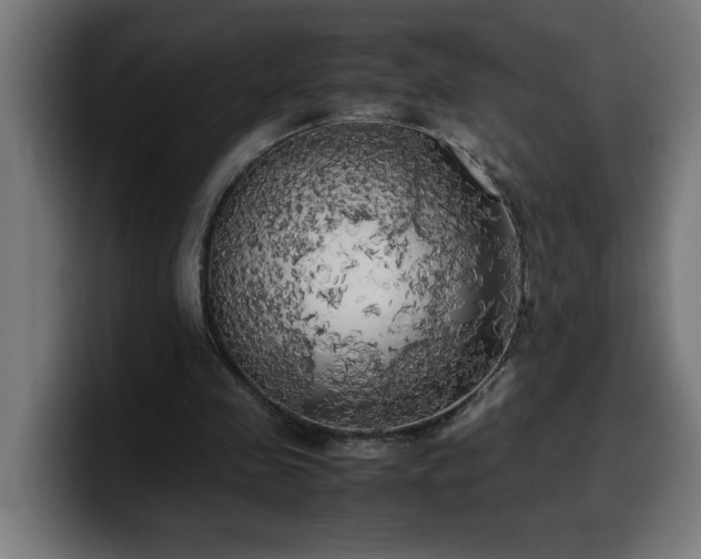 X0000100490341200806131254