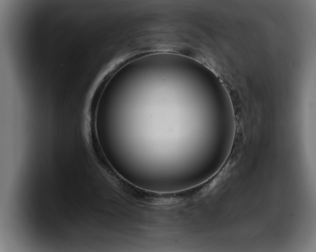 X0000100490342200806131254