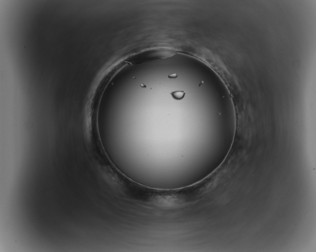 X0000100490344200806131254