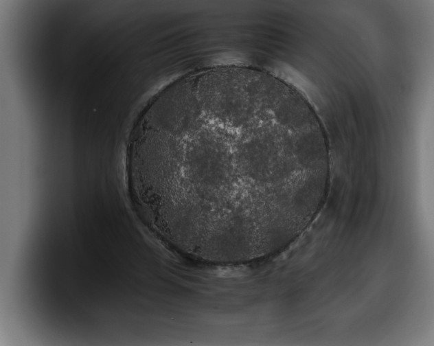X0000100490345200806131254