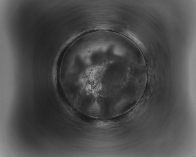 X0000100490346200806131254