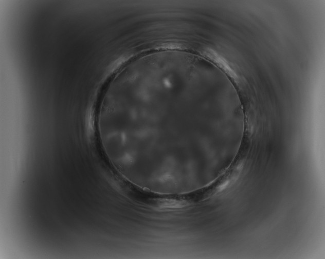 X0000100490347200806131254