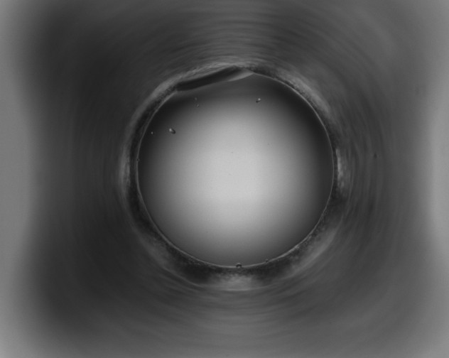 X0000100490348200806131254