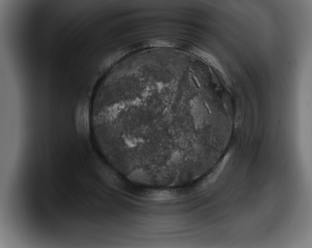 X0000100490349200806131254