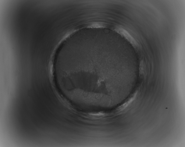 X0000100490351200806131254