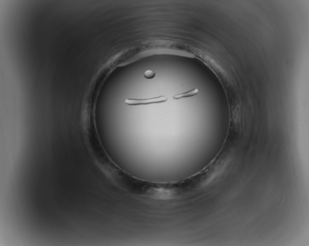 X0000100490352200806131254