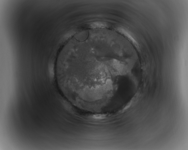 X0000100490353200806131254