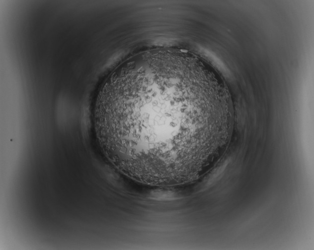 X0000100490354200806131254