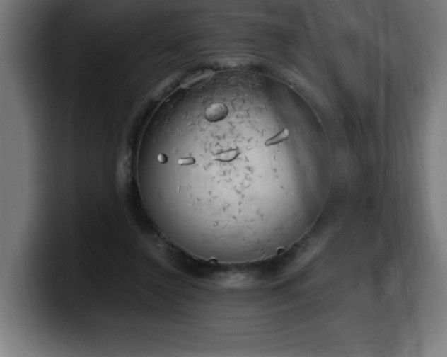 X0000100490356200806131254