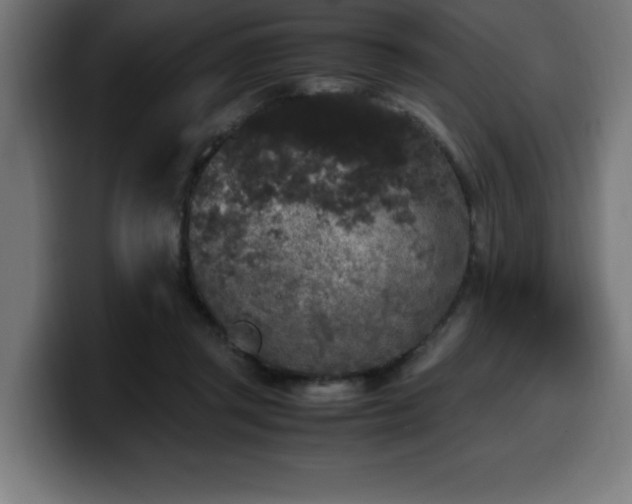 X0000100490357200806131254