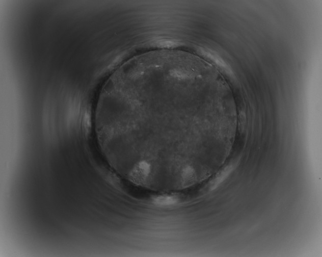 X0000100490358200806131254