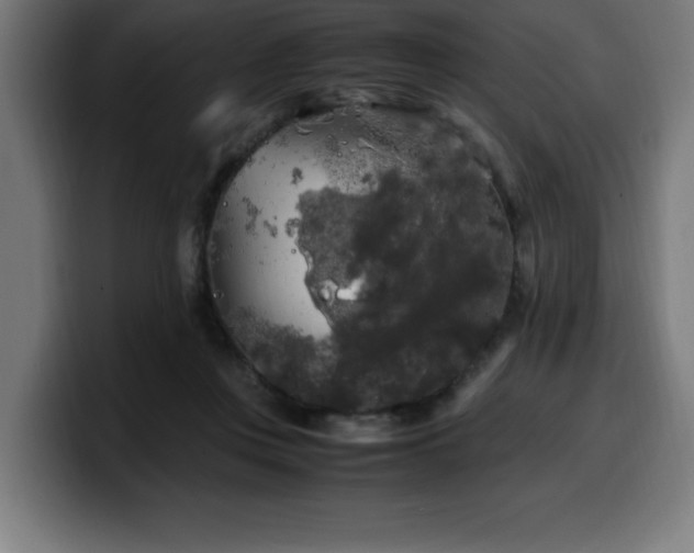 X0000100490359200806131254