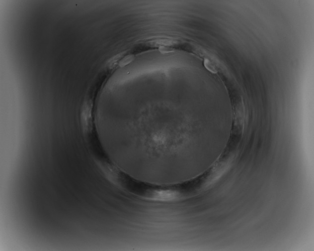 X0000100490360200806131254