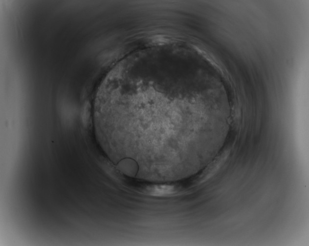 X0000100490361200806131254
