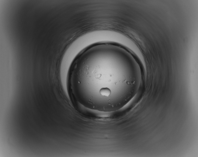 X0000100490362200806131254