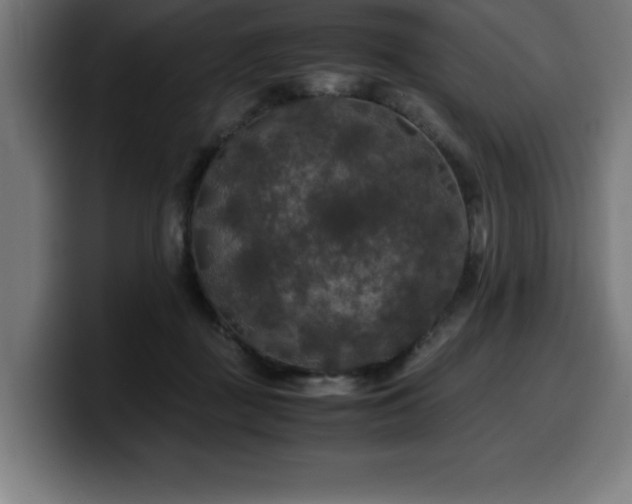 X0000100490363200806131254