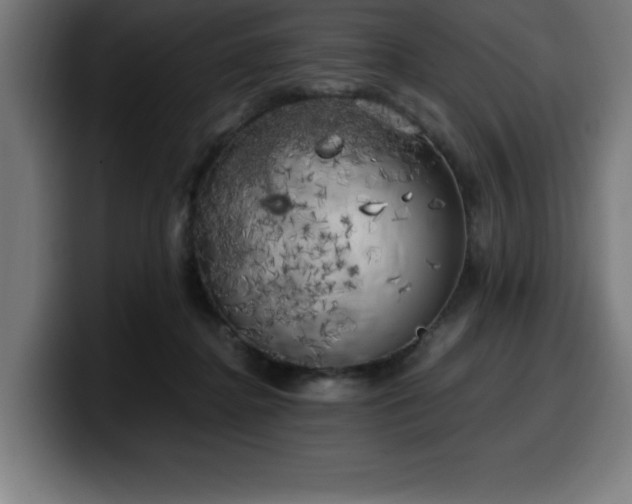 X0000100490364200806131254