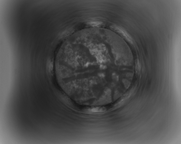 X0000100490365200806131254