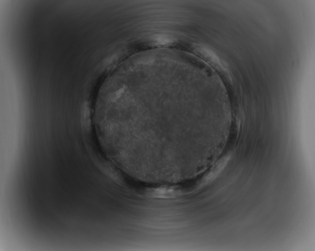 X0000100490366200806131255