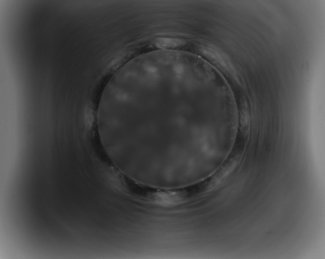 X0000100490367200806131255