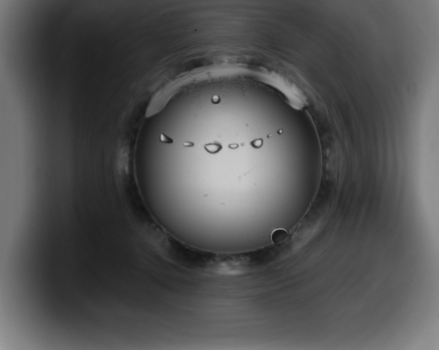 X0000100490368200806131255