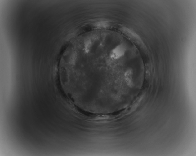 X0000100490369200806131255