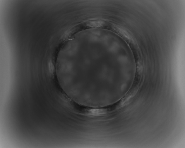 X0000100490371200806131255