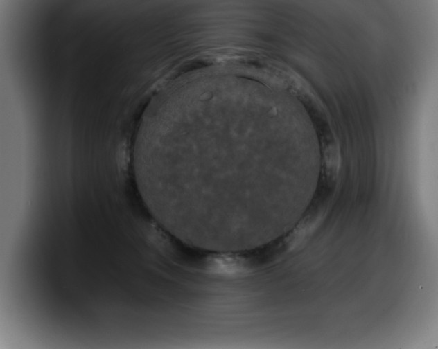 X0000100490372200806131255