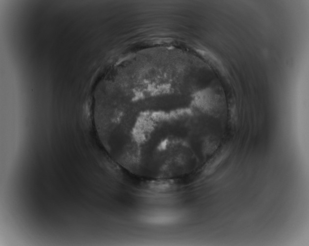 X0000100490373200806131255