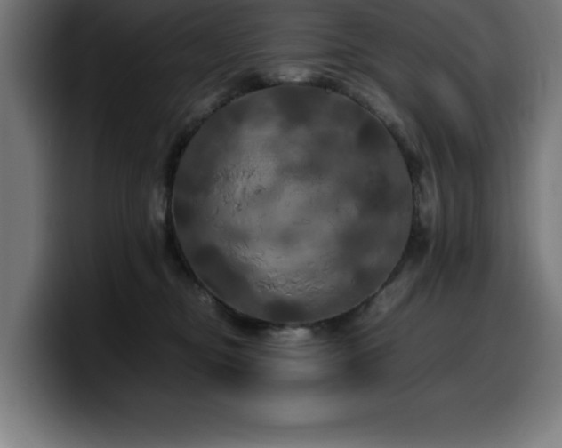X0000100490374200806131255