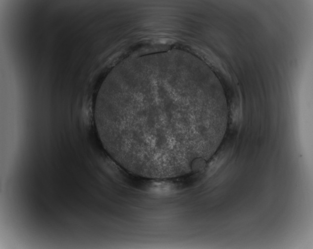 X0000100490376200806131255