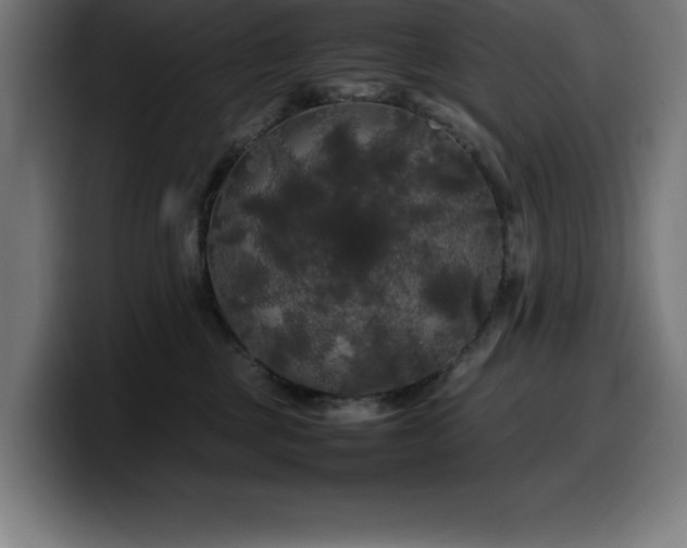 X0000100490377200806131255