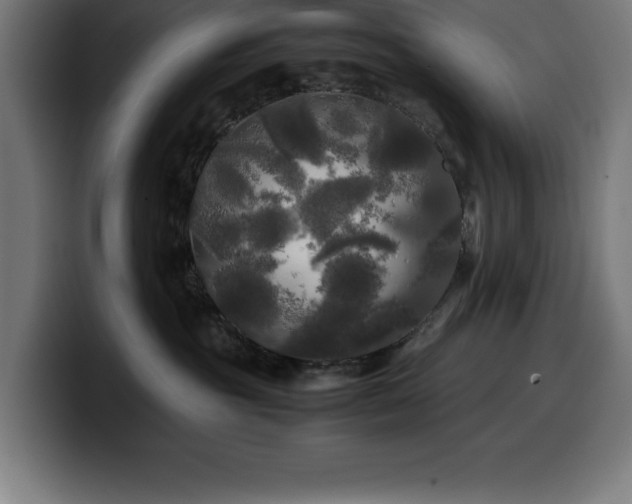 X0000100490381200806131255