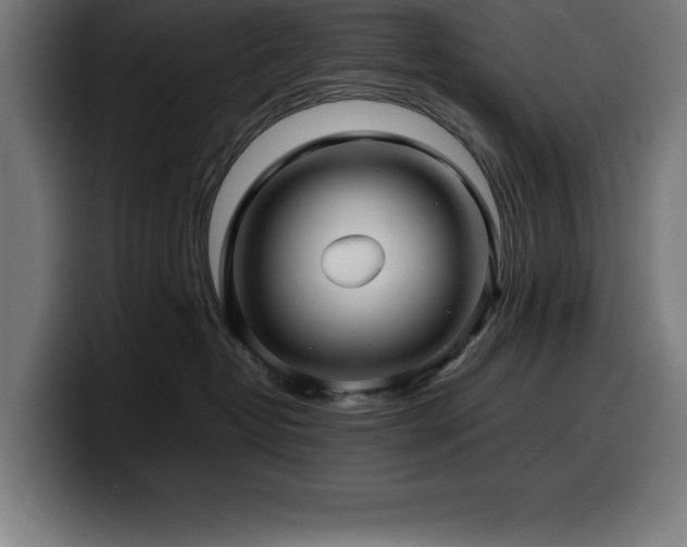 X0000100490382200806131255