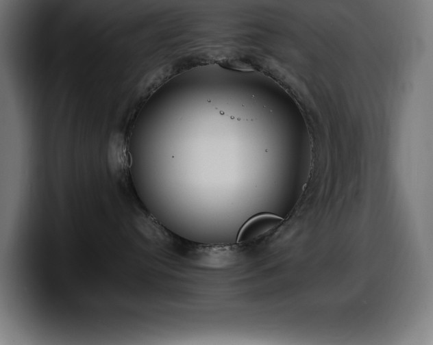 X0000100490384200806131255
