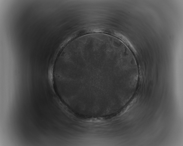X0000100490386200806131254