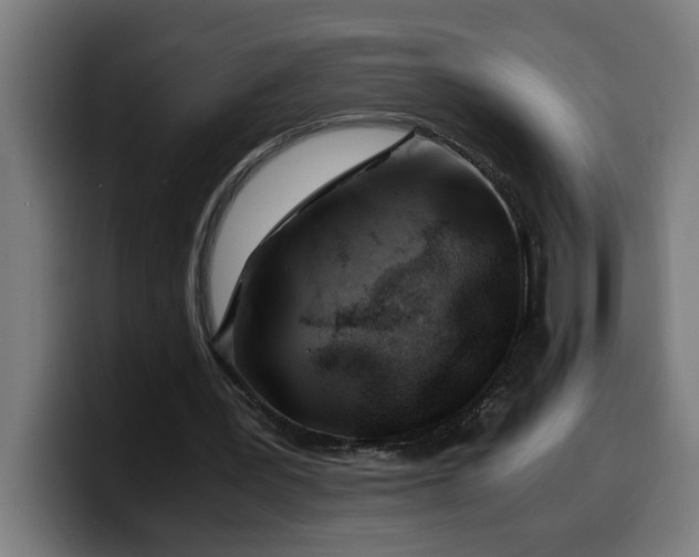 X0000100490387200806131254