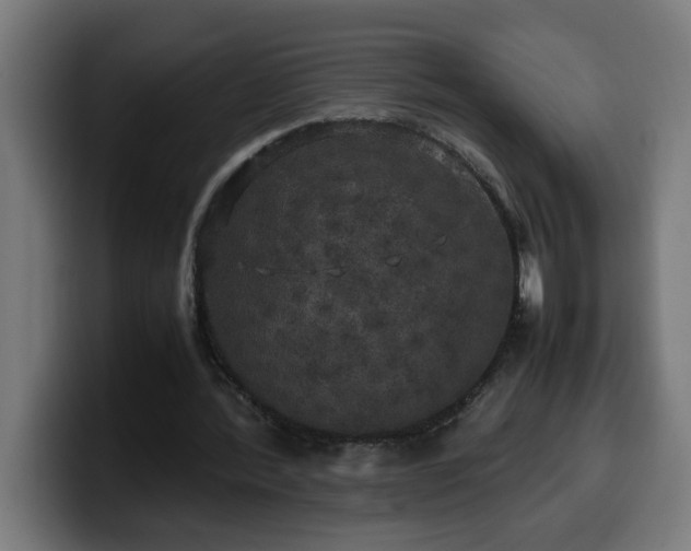 X0000100490388200806131254