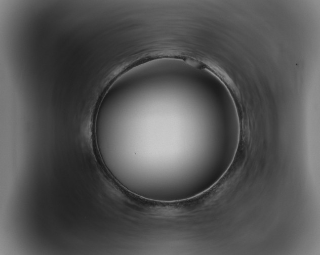 X0000100490389200806131254
