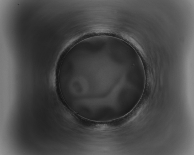 X0000100490391200806131254