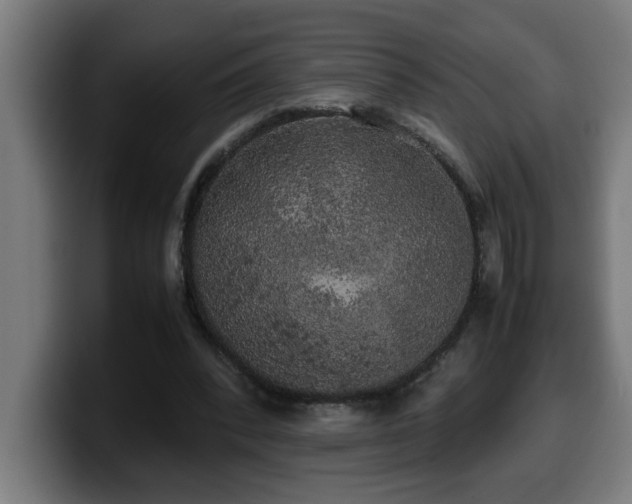 X0000100490392200806131254